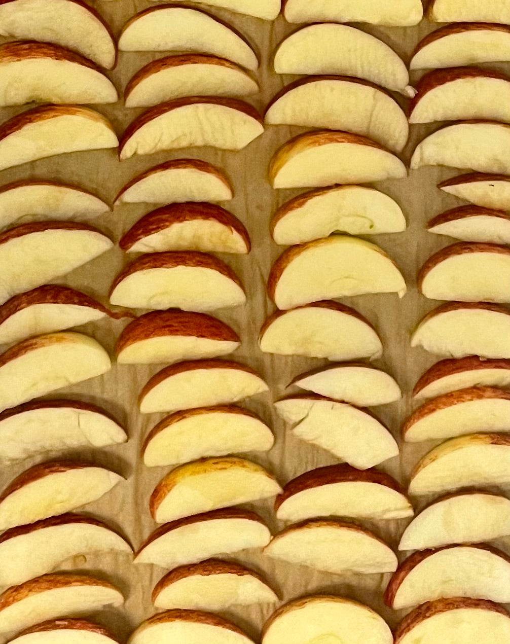 Freeze Dried Apple Slices